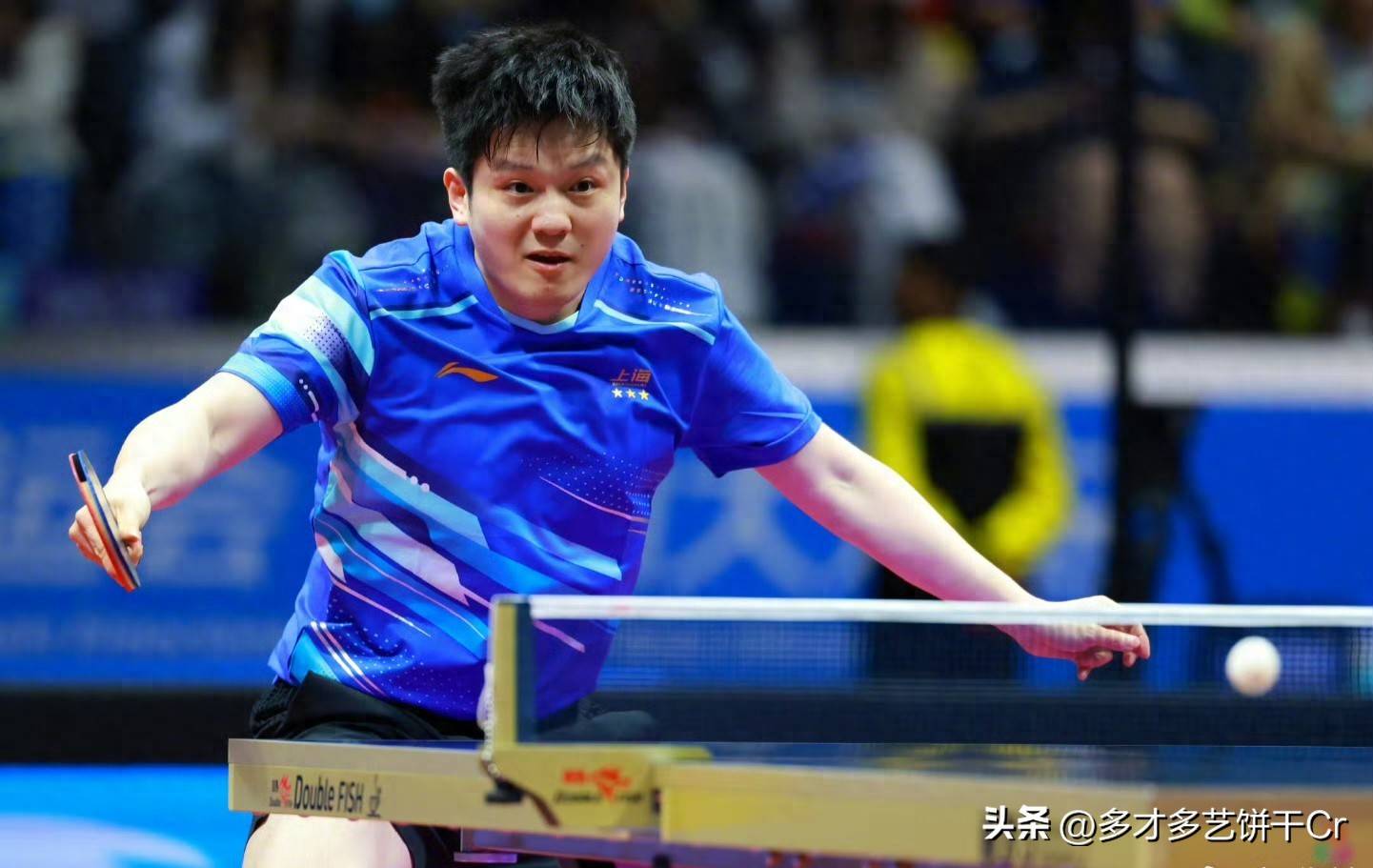 法国队完胜英格兰队，樊振东扛起全队