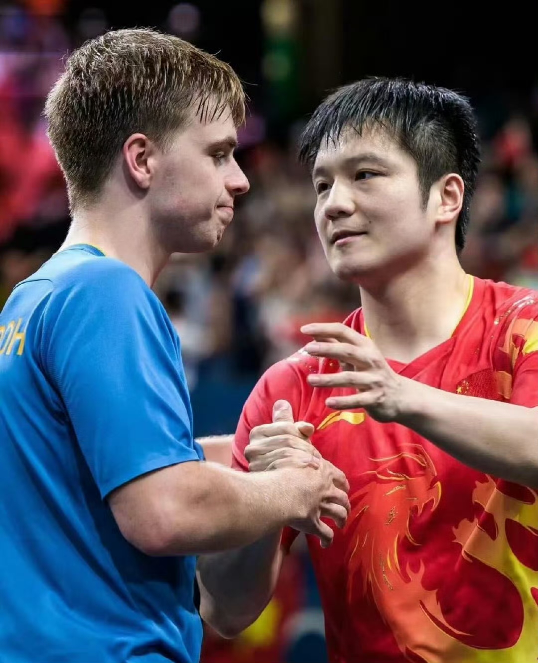 德国队鏖战瑞典队，樊振东高光表现
